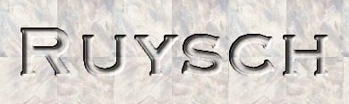 Ruysch